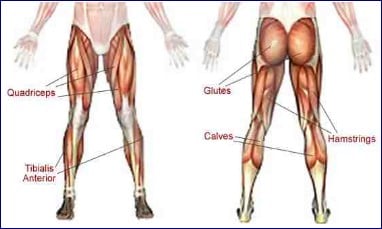 bacak kasları